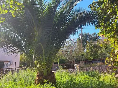 Ferienwohnung für 3 Personen (30 m²) in Dramalj 2/10