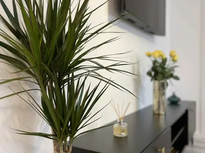 Ferienwohnung für 4 Personen (50 m²) in Siófok 8/10