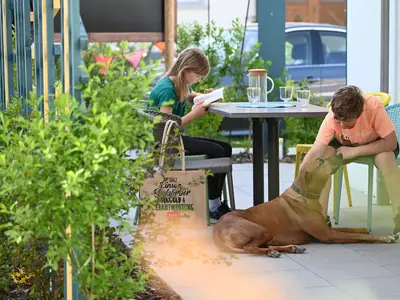 Garten