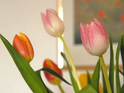 Ferienwohnung für 8 Personen (95 m²) in Strullendorf 3/10