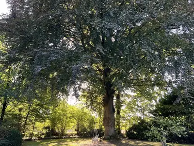 Ferienwohnung für 4 Personen (100 m²) in Rastede 2/10