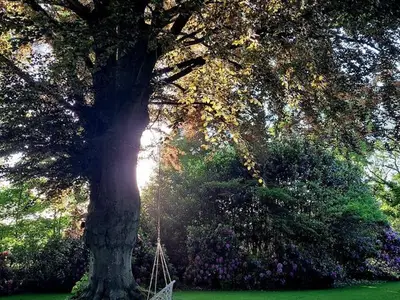 Ferienwohnung für 4 Personen (100 m²) in Rastede 5/10