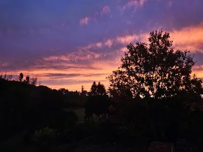 Ferienwohnung für 4 Personen (65 m²) in Steinberg-Deckenhardt 6/10