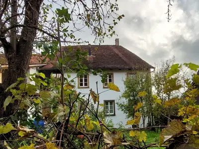 Blick aufs Haus durch den Garten
