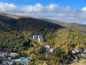 Ferienwohnung für 4 Personen (52 m²) in Bad Harzburg