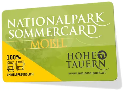 NPHT_Sommercard_mobil_schatten - LOGO