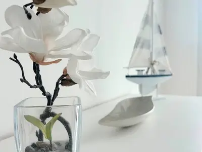 Ferienwohnung für 3 Personen (48 m²) in Dierhagen Strand 10/10