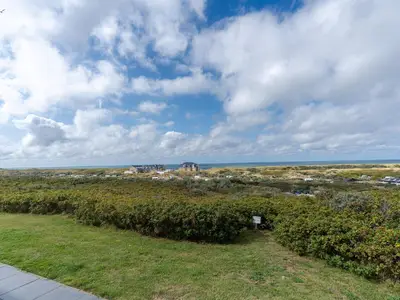 ViewSummer