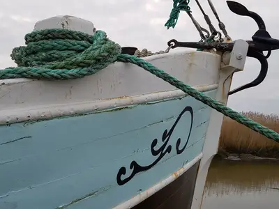 Ferienwohnung für 4 Personen (50 m²) in Wurster Nordseeküste 8/10