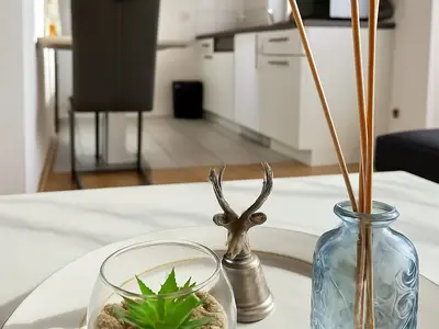 Ferienwohnung für 1 Person (45 m²) in Friedrichshafen 2/7