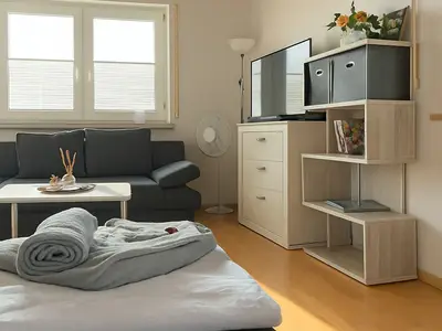 Ferienwohnung für 1 Person (45 m²) in Friedrichshafen 4/7