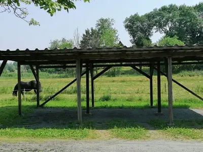 Ferienwohnung für 2 Personen (40 m²) in Drochtersen 2/10