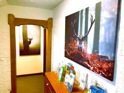 Ferienwohnung für 6 Personen (68 m²) in Fischen im Allgäu 4/10