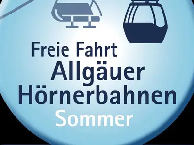 Ferienwohnung für 4 Personen (60 m²) in Balderschwang 4/10