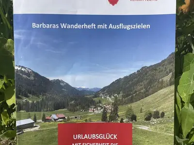 Ferienwohnung für 4 Personen (60 m²) in Balderschwang 8/10
