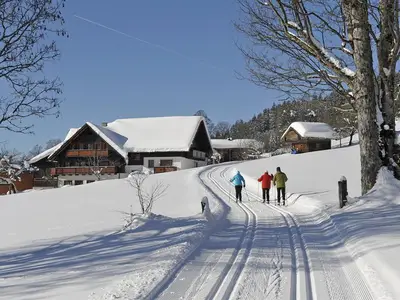 Langlaufloipe führt direkt am Hof vorbei.