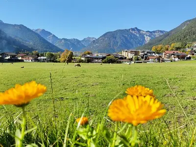 Ferienwohnung für 4 Personen (56 m²) in Maurach am Achensee 7/10