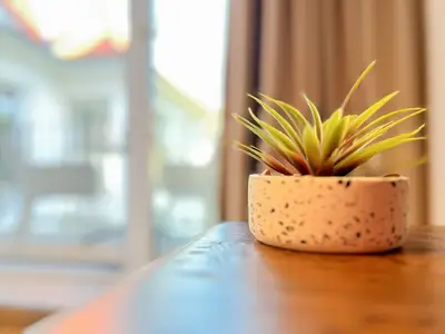 Ferienwohnung für 2 Personen (61 m²) in Boltenhagen (Ostseebad) 9/10