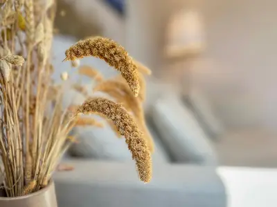 Dekoratives Detail im Wohnbereich