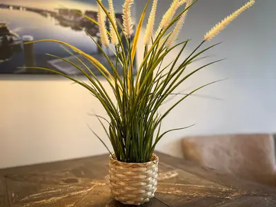 Dekoratives Detail im Essbereich