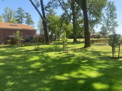 Ferienwohnung für 4 Personen (68 m²) in Krummhörn Uttum 9/10