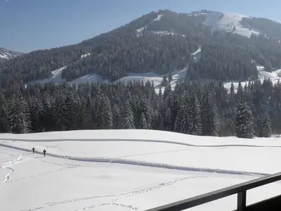 Ferienwohnung für 3 Personen (30 m²) in Balderschwang 6/10
