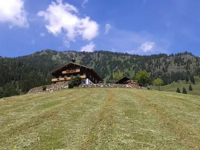 Brandebengut-Bauernhof-Hofgastein-Heuarbeit