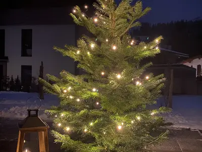 Apartment Bergfieber