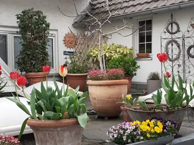 Balkon-_Aussicht_im_Frühjahr