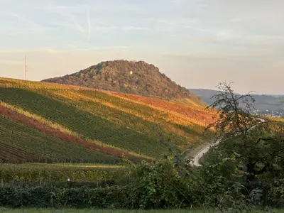 Aussicht Rundgang Heppinger Berg