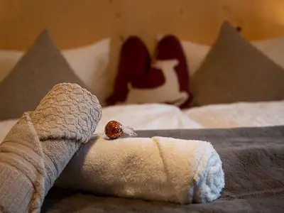 Ferienwohnung für 3 Personen (32 m²) in Mellau 7/10