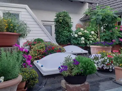 Ferienwohnung für 3 Personen (65 m²) in Bad Neuenahr-Ahrweiler 7/10