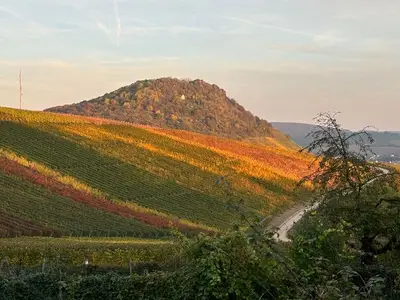 Ferienwohnung für 3 Personen (65 m²) in Bad Neuenahr-Ahrweiler 8/10