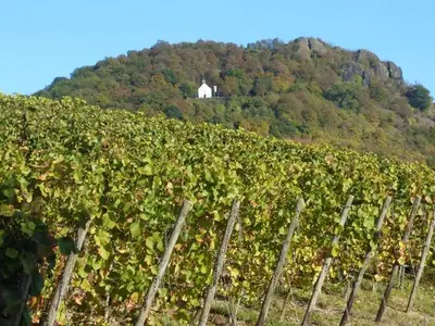 Ferienwohnung für 3 Personen (65 m²) in Bad Neuenahr-Ahrweiler 9/10