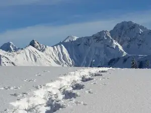 Ferienwohnung für 6 Personen (70 m²) in Faschina