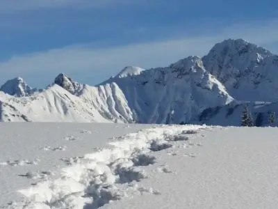 Ferienwohnung für 4 Personen (31 m²) in Faschina 1/10