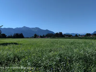 Feldwies mountain view