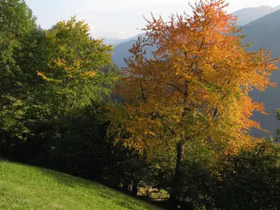 Kalser Motive c Gruber Peter (6)