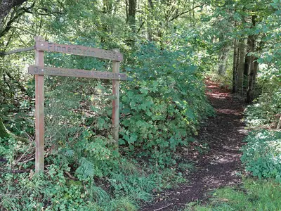 Finnenbahn oberhalb von Alsbach