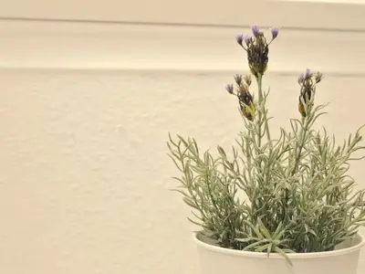 Ferienwohnung für 2 Personen (39 m²) in Horumersiel 7/10