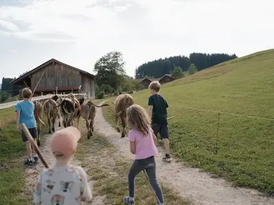 Ferienwohnung für 4 Personen (43 m²) in Immenstadt 10/10