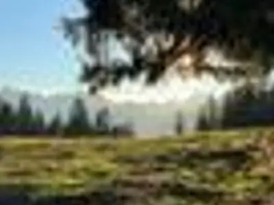 Ferienwohnung für 1 Person (20 m²) 5/10