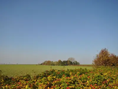 Ferienwohnung für 3 Personen (42 m²) in Carolinensiel 9/10