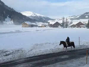 Ferienwohnung für 6 Personen (68 m²)