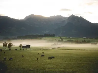 Ferienwohnung für 2 Personen (38 m²) in Bolsterlang 9/10