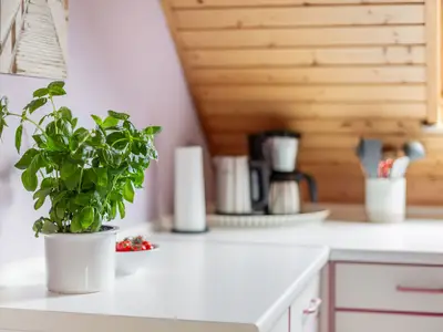 Ferienwohnung für 3 Personen (50 m²) in Fehmarn 6/10