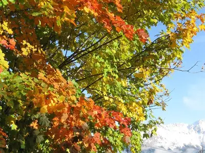 Umgebung-Gasthaus-Stieber-im-Naturpark-Sölktäler-i