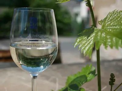 Wein Weingut Schneider-Kettern