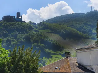 Blick auf die Burg und Mosel
