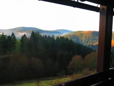 Ferienwohnung für 3 Personen (55 m²) in Sankt Andreasberg 1/10